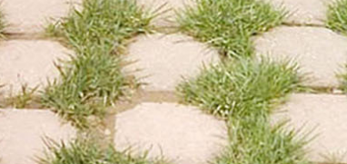 襄陽(yáng)植草磚 襄陽(yáng)植草磚